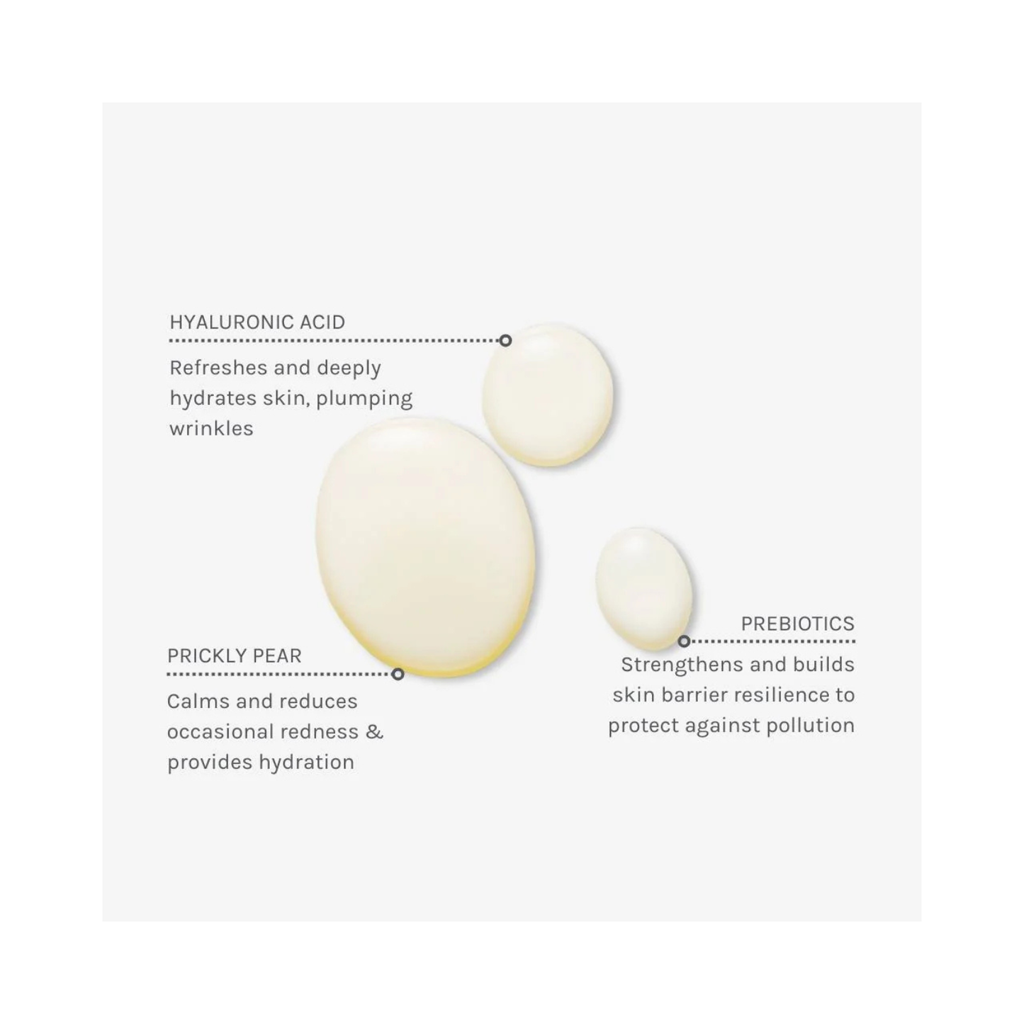 Daily Defense Moisture Mist